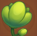 Flower of Primordial Chaos
